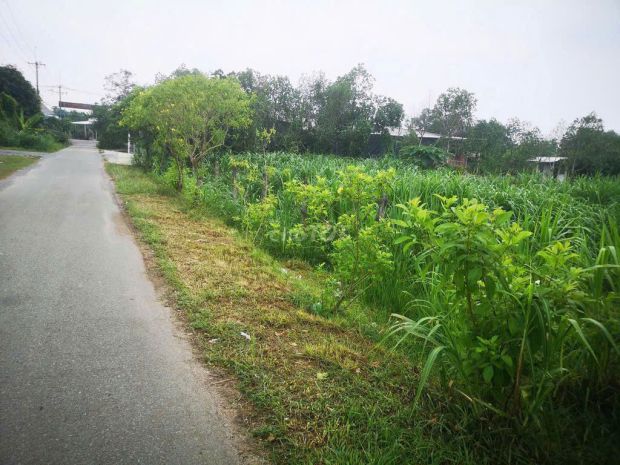 Đất đẹp  giá đầu tư cần bán đất mặt tiền tại đ. 762, xã 7562850