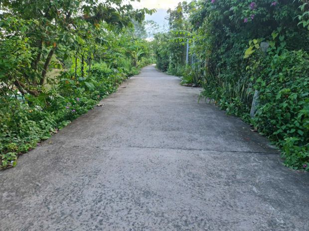 Bán đất nền vị trí ngay mặt tiền đường ngã bát bờ phải, xã 7563148