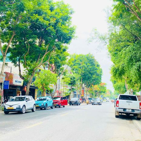 Bán nhà mặt phố việt hưng 90m2- mt 6m- hiếm, vị trí đắc 7568565
