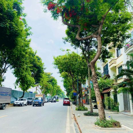 Bán nhà mặt phố việt hưng 90m2- mt 6m- hiếm, vị trí đắc 7568566