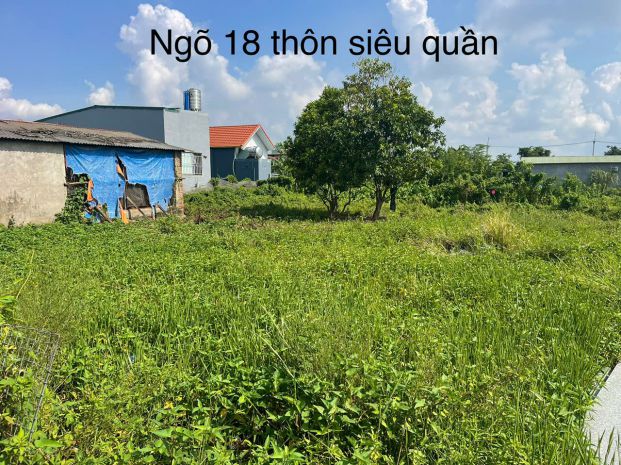 Bán đất chính chủ tại ngõ 18 thôn siêu quần xã tả thanh oai, 7570726