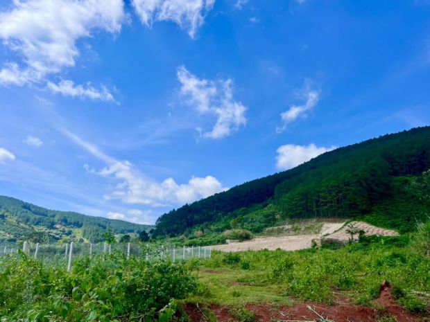 Bán đất nền an sơn villas 239m² thổ cư 150m²  cơ hội đầu tư 7571780
