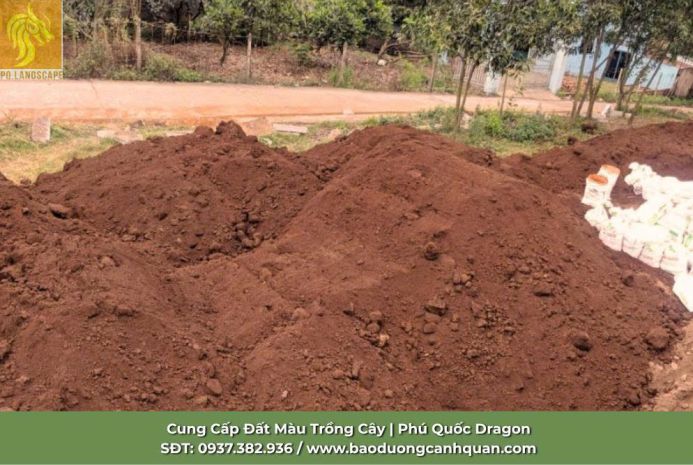 Bán đất màu trông cây giá yêu thương tại đông nai 7572096