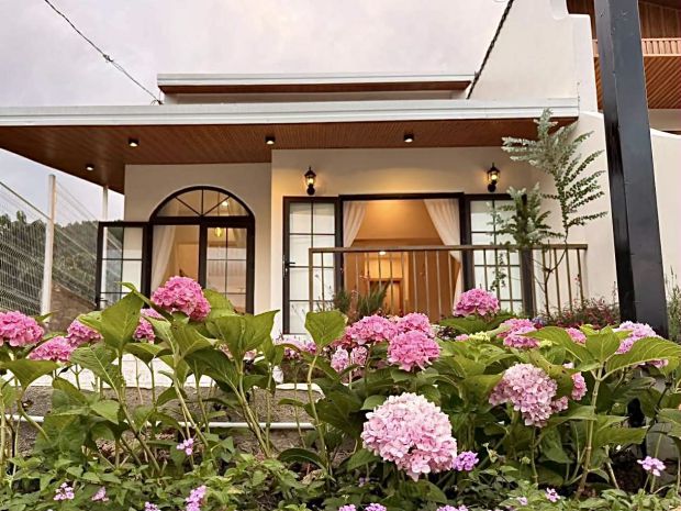 Bán villa mini mê linh 239m²  nhà mới hoàn thiện, sổ riêng 7574248