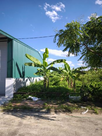 Đất đấu giá 80m2 tại cán khê - nguyên khê - đông anh - hà 7574353