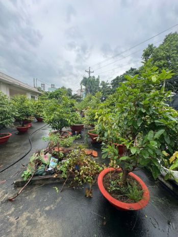 Bán đất dĩ an 174m²,shr đường nhựa 2 ô tô thông, gần bigc 7574514