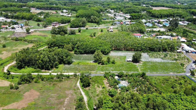 Siêu phẩm 3mt đường nhựa an nhơn tây, củ chi quỹ đất 1,8ha 7574975