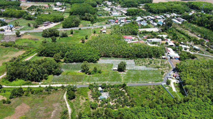 Siêu phẩm 3mt đường nhựa an nhơn tây, củ chi quỹ đất 1,8ha 7574977