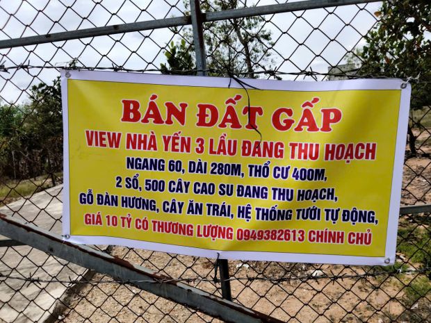 Siêu phẩm 1,7ha nhà yến cùng 500 cây cao su đang thu hoạch, 7578041