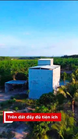 Siêu phẩm 1,7ha nhà yến cùng 500 cây cao su đang thu hoạch, 7578043