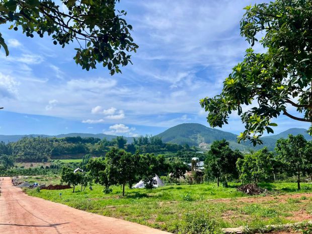 Bán đất ven đà lạt 322m² ngang 12m  thổ cư 259m² 7579638