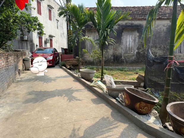 Bán đất đẹp đan kim  liên nghĩa, văn giang, hưng yên 7579995