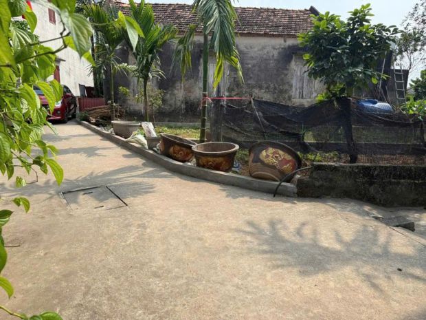 Bán đất đẹp đan kim  liên nghĩa, văn giang, hưng yên 7579997