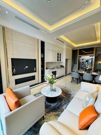 Siêu phẩm đàm quang trung  long biên-ga ra ôtô- thang máy 7580862
