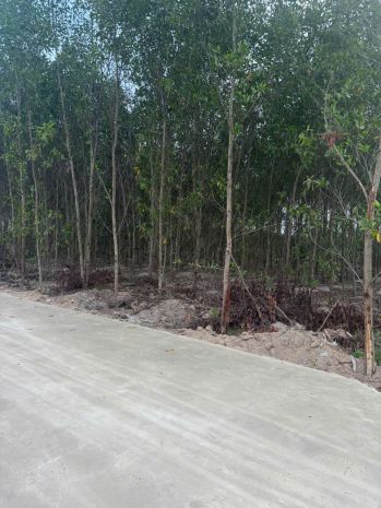 Bán 1148m2 đất tân xuân - hàm tân chỉ 400 triệu sào đường 7581372