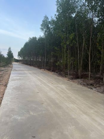Bán 1148m2 đất tân xuân - hàm tân chỉ 400 triệu sào đường 7581374