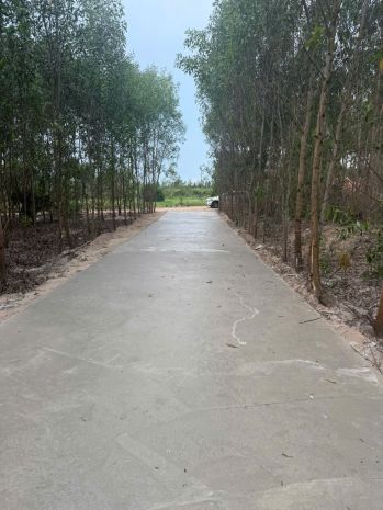 Bán 1148m2 đất tân xuân - hàm tân chỉ 400 triệu sào đường 7581375