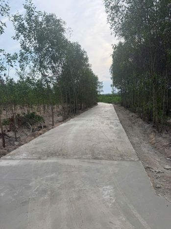 Bán 1148m2 đất tân xuân - hàm tân chỉ 400 triệu sào đường 7581376