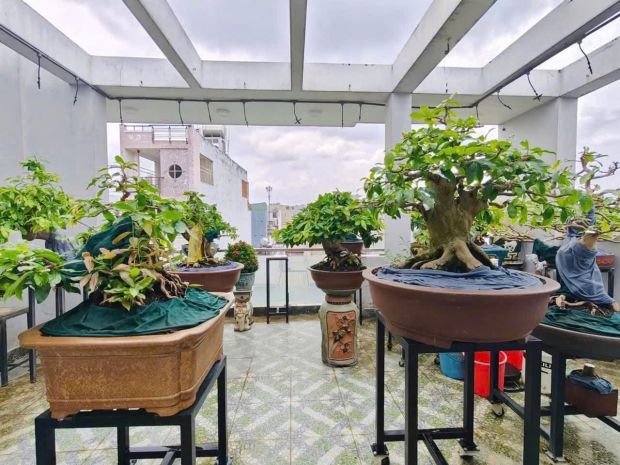 Mặt tiền 4 tầng xe hơi, trung tâm quận 8, 5x20, chỉ 7 tỷ 7584617
