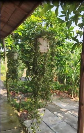 Bán đất thổ cư 864m2 sổ hồng nguyễn an ninh, tân quy đông, 7584960