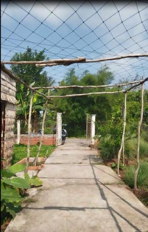 Bán đất thổ cư 864m2 sổ hồng nguyễn an ninh, tân quy đông, 7584961