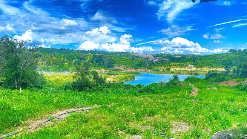 1,3 ha  13.000m2  mà giá chỉ 3,5 tỷ - phú hội cũ, đức trọn 7589885