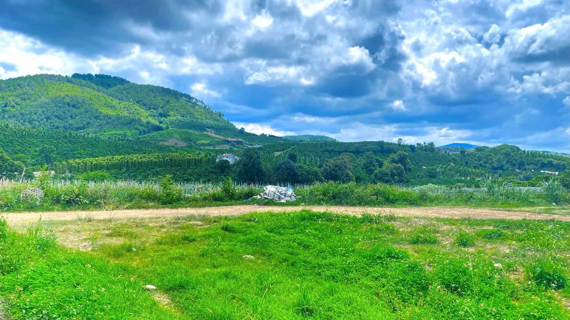 1,3 ha  13.000m2  mà giá chỉ 3,5 tỷ - phú hội cũ, đức trọn 7589886