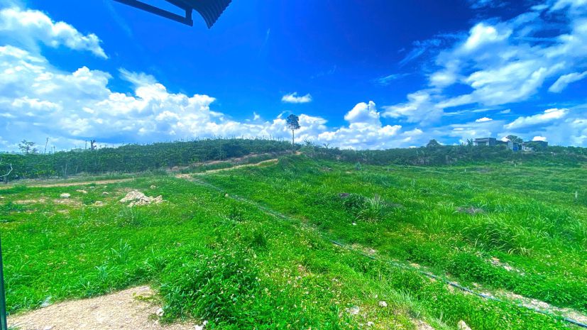1,3 ha  13.000m2  mà giá chỉ 3,5 tỷ - phú hội cũ, đức trọn 7589887