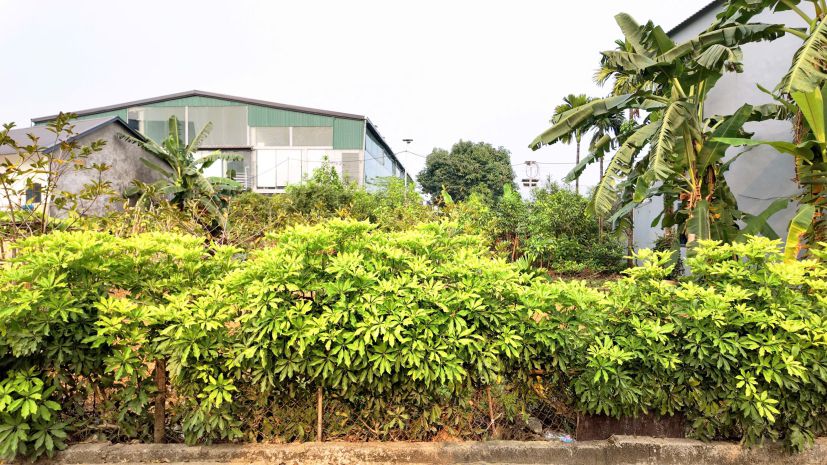 Chỉ 13,5tr.m2. bán lô đất phú cát, quốc oai, hà nôi.150m2 7591611