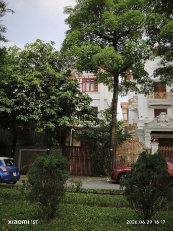 Biệt thự 250m2. bán đảo linh đàm hà nội 70 tỷ khu biệt thự 2 7593594