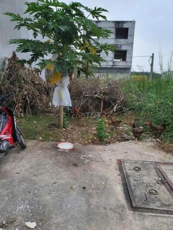 Đất đẹp  giá tốt- chính chủ cần bán đất tại  xã vĩnh tân, 7595937