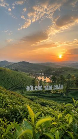 Bán gấp villas gần đồi chè tâm châu - chuẩn nghĩ dưỡng - 7599774