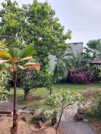 Bán biệt thự vườn hxh 8m đường số 38 - hiệp bình, 30x40m, 2 7600306