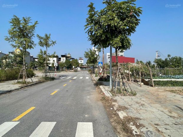 Chuyển nhượng lô đất giãn dân dự án cầu tứ liên chính chủ 7602630