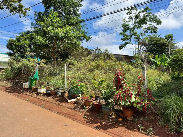 Đất siêu đẹp - giá đầu tư chính chủ cần bán nhanh đất hàng 7605171