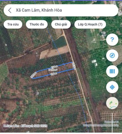 Không có thời gian - cho thuê vườn đang có sẵn xoài 7607563