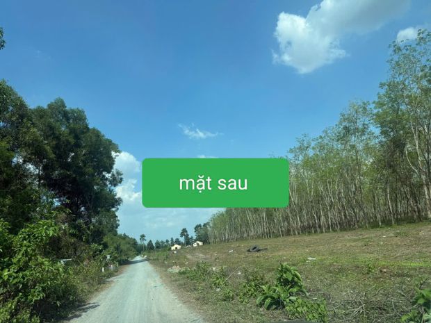 Siêu phẩm 46x110 2mt củ chi  4.500m², thổ cư 2.600m², 7608108