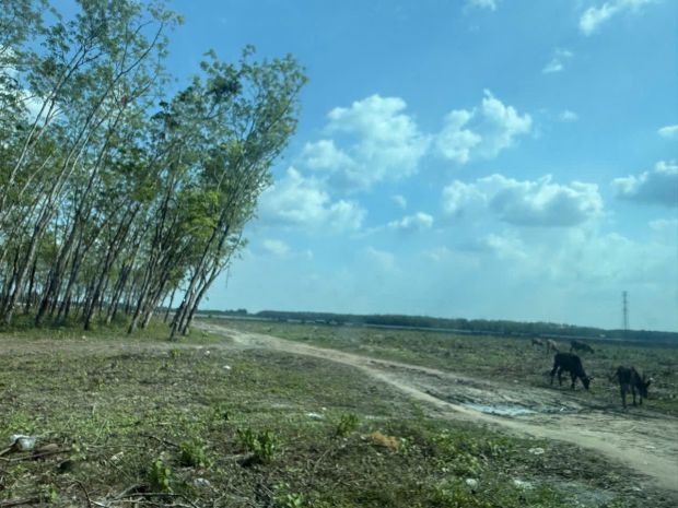 Siêu phẩm 46x110 2mt củ chi  4.500m², thổ cư 2.600m², 7608110