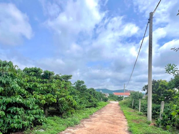 Cần bán đất ven đà lạt 308m² có 268m² thổ cư view núi 7609293