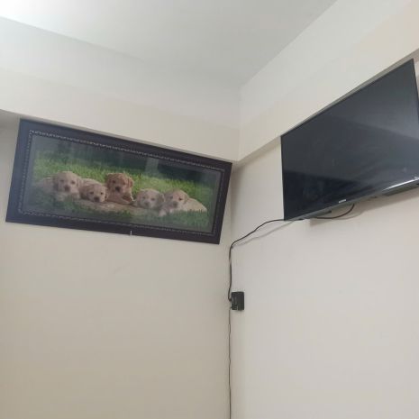 Chính chủ cho thuê căn hộ chung cư nam trung yên  yên hòa, 7609311