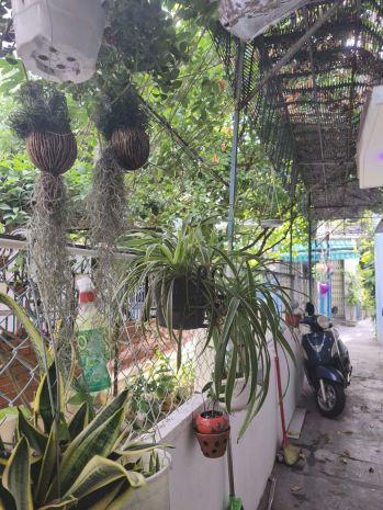 Kiệt nguyễn hoàng - hoàng diệu, 35m2, 2 tầng 3pn, 2wc, 7611106