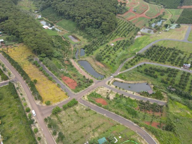 Bán gấp đất gần hồ ngọc, gần đồi chè tâm châu, 1,35tỷ150m2, 7613396
