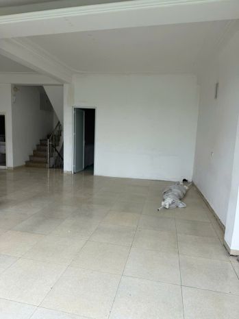 Cho thuê nhà 6 tầng,nhiều phòng,phù hợp nhiều mô hình kinh 7613414