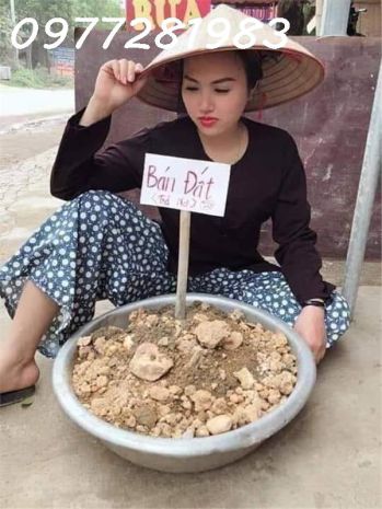Với hơn 4 tỷ, anhchị chọn: 7616346