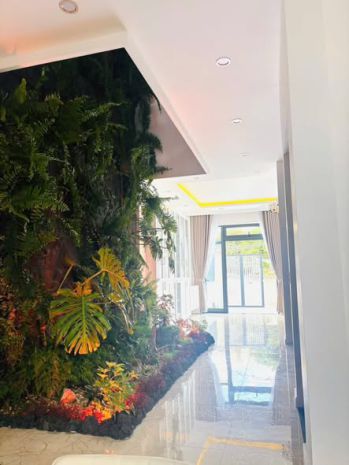 Bán gôi nhà nhỏ có không gian xanh trong nhà, đà lạt 7618328