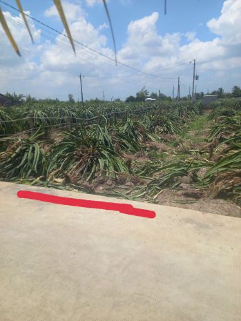 Chính chủ cần bán lô đất đẹp  giá chỉ 500 triệu - tại châu 7619055