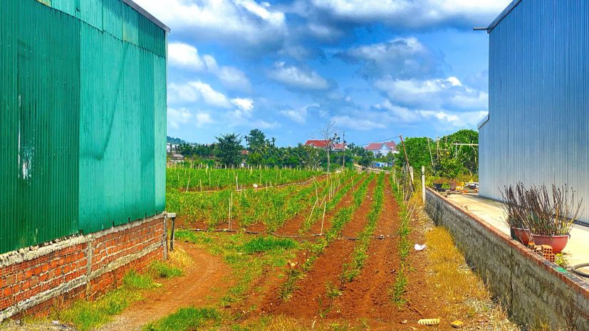 3 sào - 12m mặt tiền dt 724 trung tâm tân hội, đức trọng cũ, 7621181