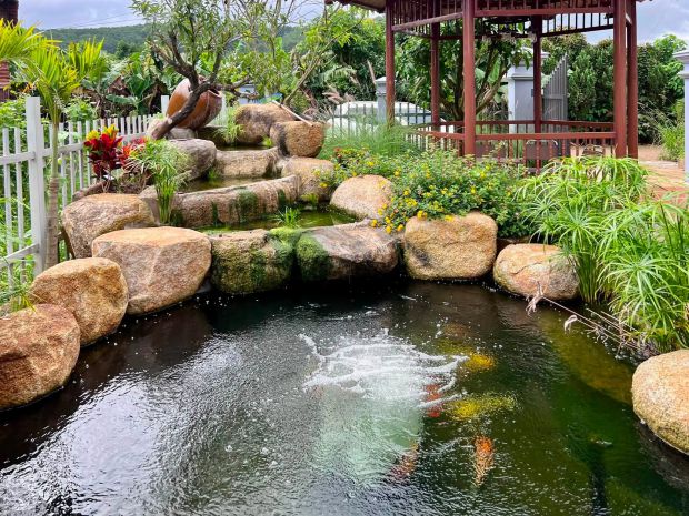 Cần bán nhà vườn tà nung 579m² full nội thất phường cam ly 7623402