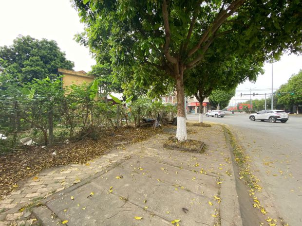 Ngân hàng phát mại 509m2 đất mặt đường trương hán siêu, tp 7623444