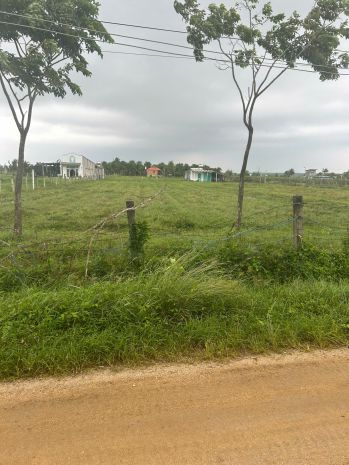Bán 500m2 đất thổ cư hẻm nguyễn tri phương, lagi giá đầu tư 7624762